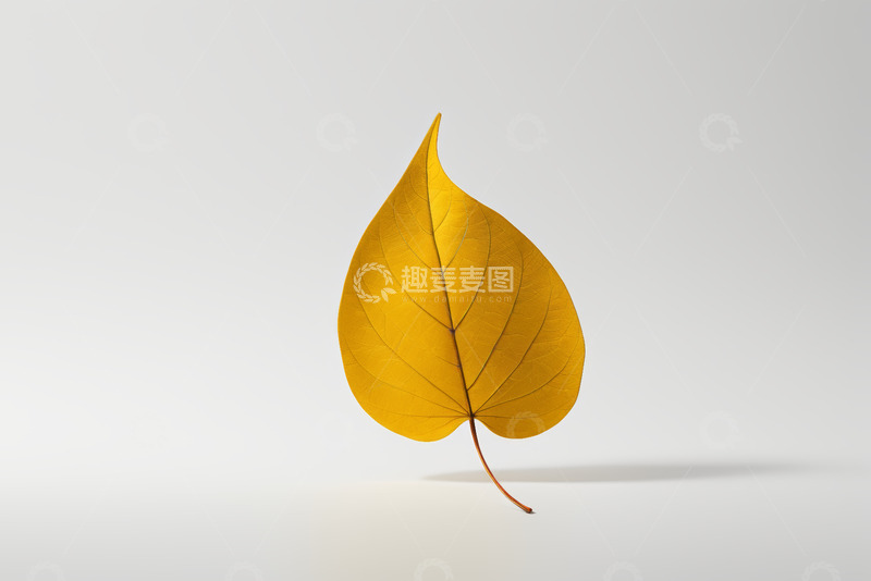 高清大图下载【趣麦麦图】黄色叶片特写