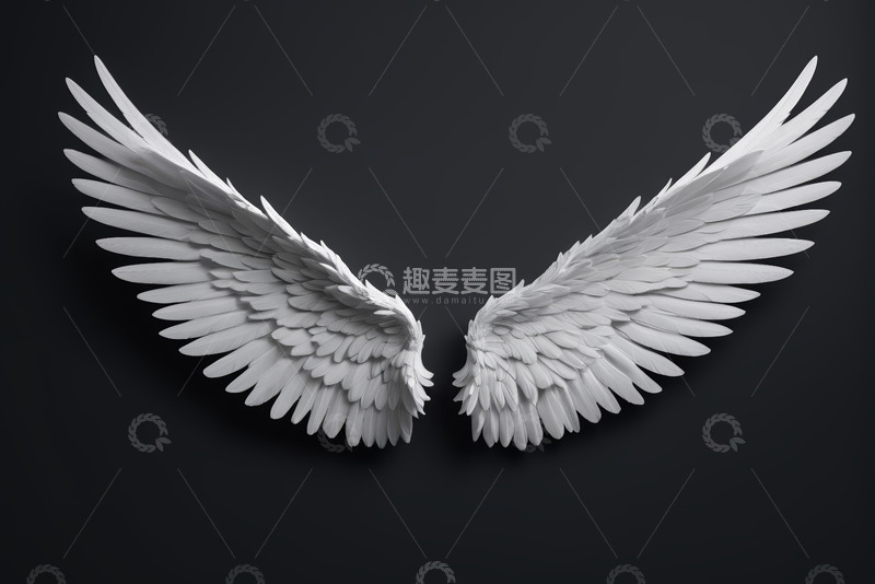 高清大图下载【趣麦麦图】白色天使翅膀设计素材