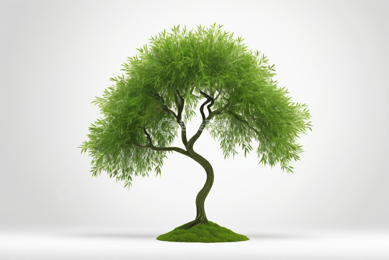 高清大图下载【趣麦麦图】绿色树木3D模型