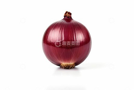 单个紫皮洋葱特写