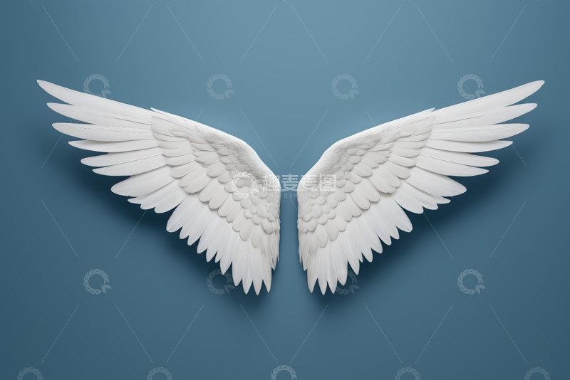 高清大图下载【趣麦麦图】白色羽翼展示