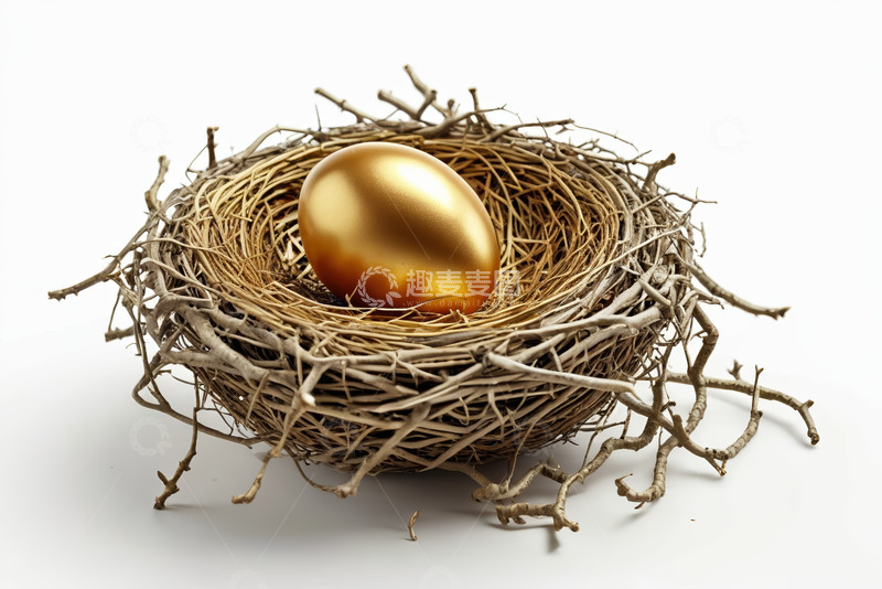 高清大图下载【趣麦麦图】鸟巢中的金蛋特写