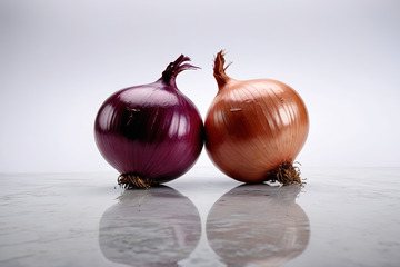 两个洋葱静物特写