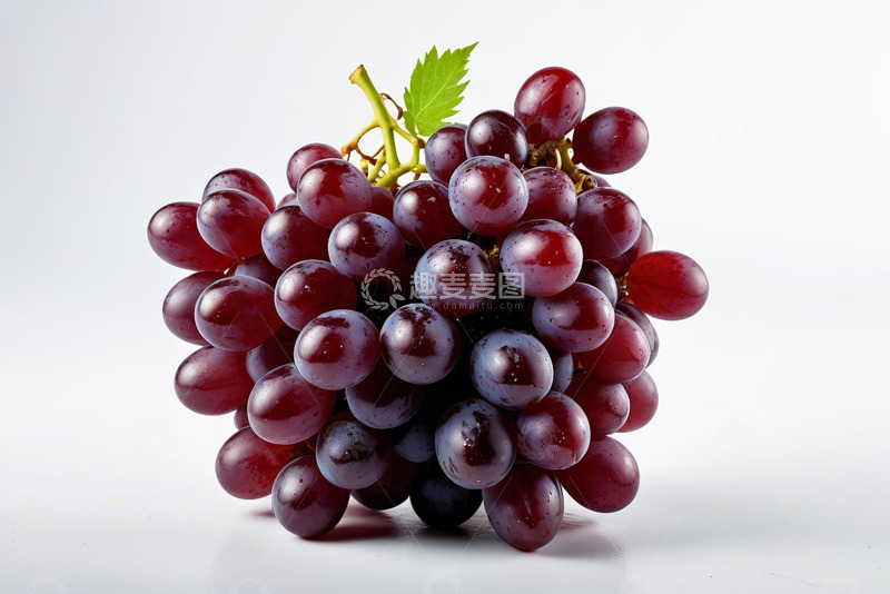 高清大图下载【趣麦麦图】新鲜成串紫葡萄特写