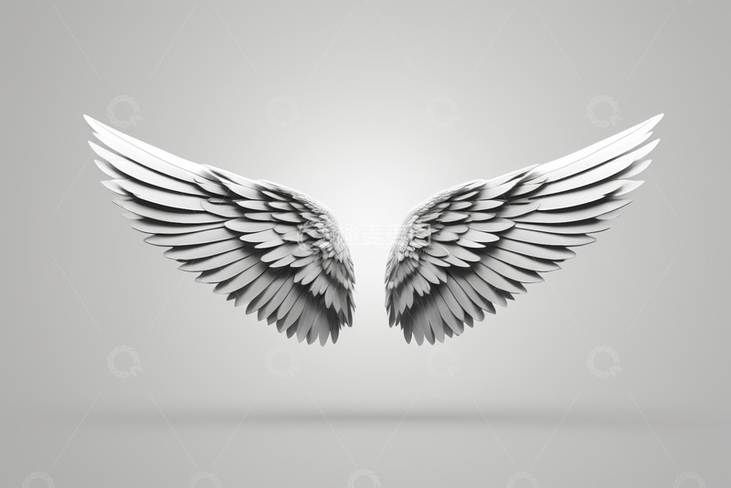 高清大图下载【趣麦麦图】白色羽翼设计元素素材