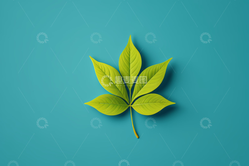 高清大图下载【趣麦麦图】蓝底上的绿色叶片素材