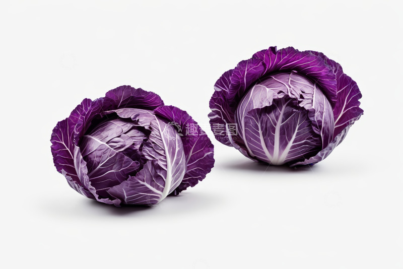 高清大图下载【趣麦麦图】两颗紫甘蓝特写