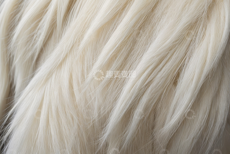 高清大图下载【趣麦麦图】柔顺浅色波浪头发特写