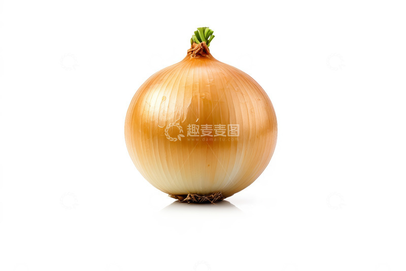 高清大图下载【趣麦麦图】单个洋葱特写