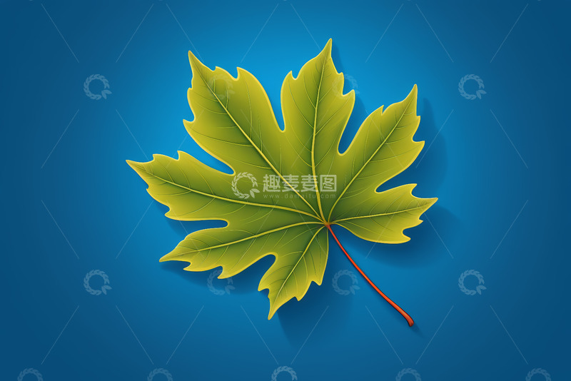 高清大图下载【趣麦麦图】蓝色背景上的绿色枫叶