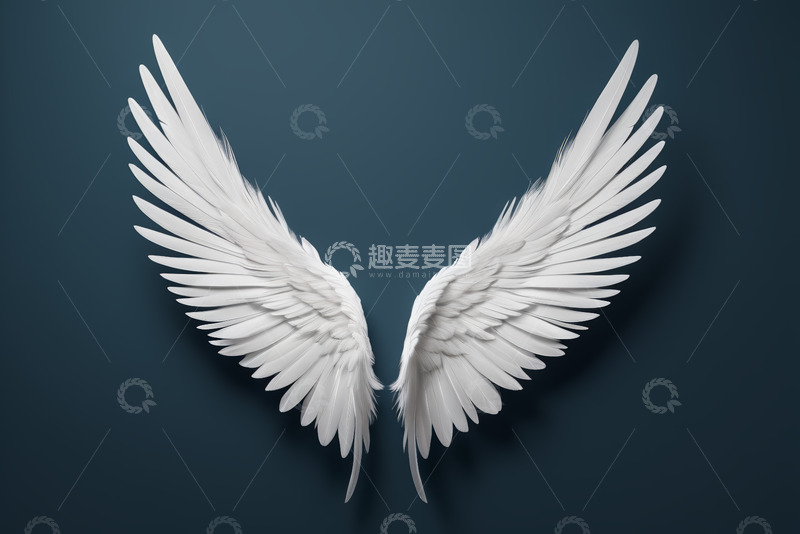 高清大图下载【趣麦麦图】白色天使翅膀设计元素