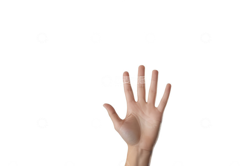高清大图下载【趣麦麦图】白色背景下伸展的手掌