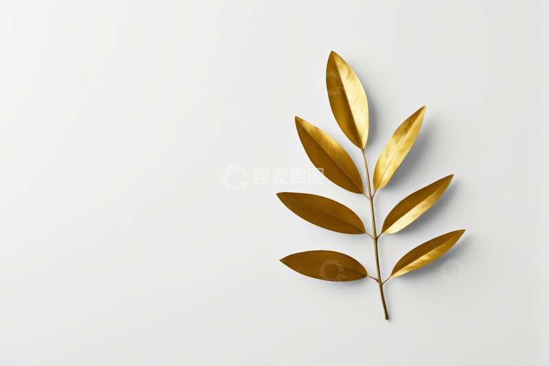 高清大图下载【趣麦麦图】白色背景上的金色叶片