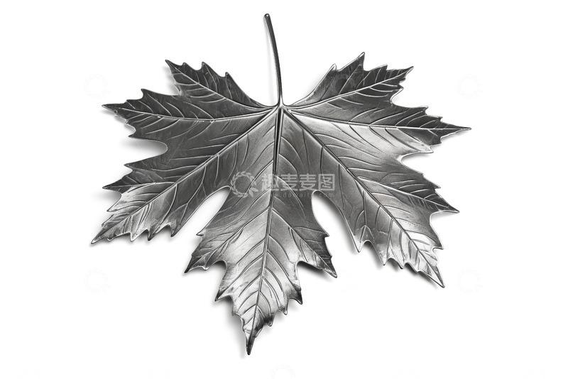高清大图下载【趣麦麦图】银色枫叶金属质感静物素材