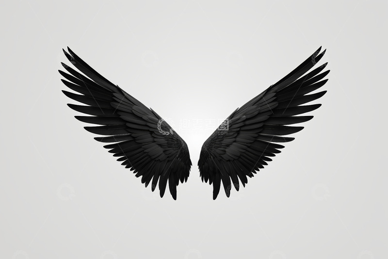 高清大图下载【趣麦麦图】黑色羽翼素材