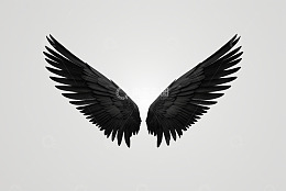 黑色羽翼素材