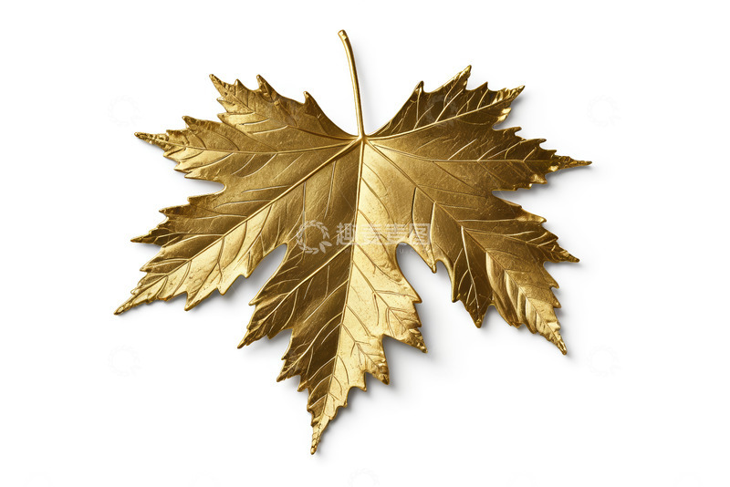 高清大图下载【趣麦麦图】金色枫叶特写素材