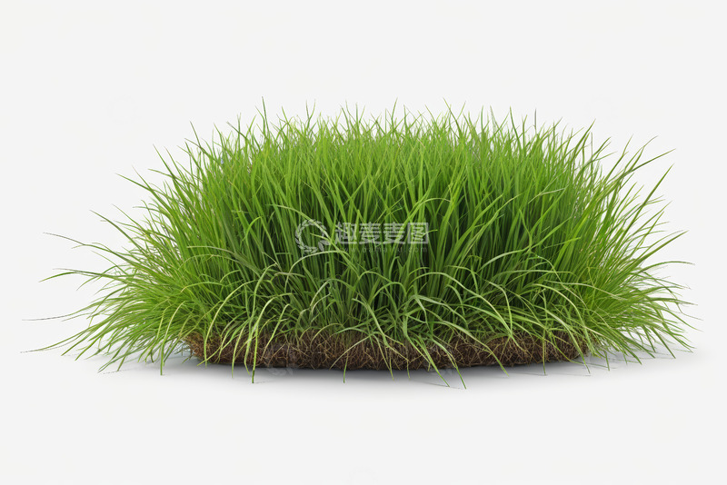 高清大图下载【趣麦麦图】绿色草皮特写