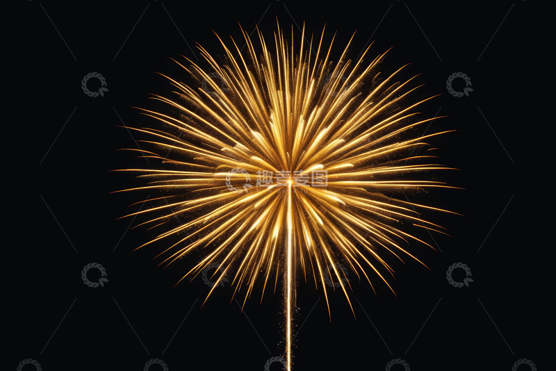 高清大图下载【趣麦麦图】夜空中绽放的金色烟花