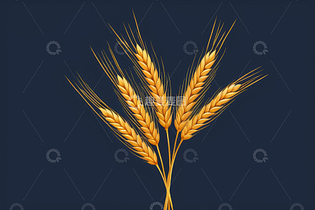 麦穗特写画面素材