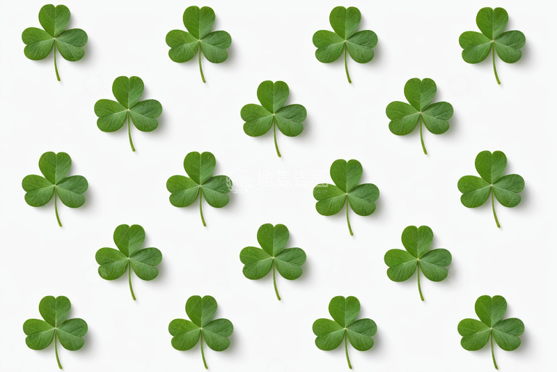 高清大图下载【趣麦麦图】白色背景上的三叶草装饰图案