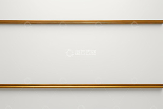 白色背景金色边框装饰画面