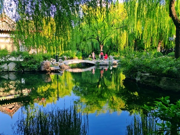 江南园林池塘景色