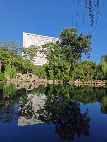 城市倒影绿树湖泊风光