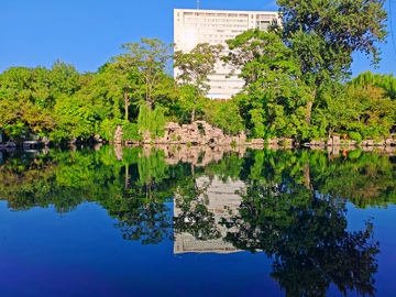 城市公园倒影风光
