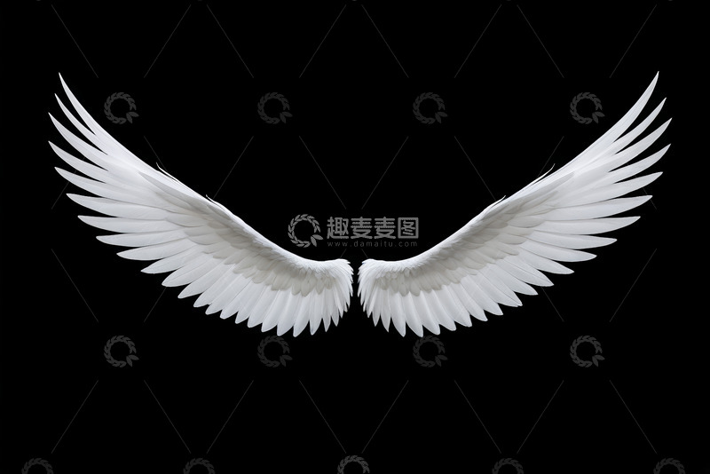 高清大图下载【趣麦麦图】白色天使翅膀设计素材