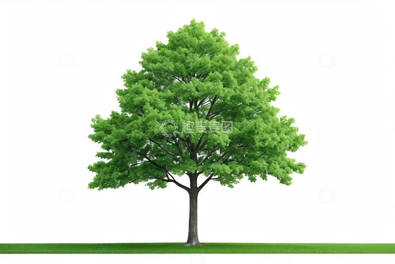 独立绿树绿植素材