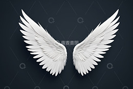 白色羽翼设计素材