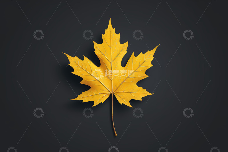 高清大图下载【趣麦麦图】黄色枫叶特写素材