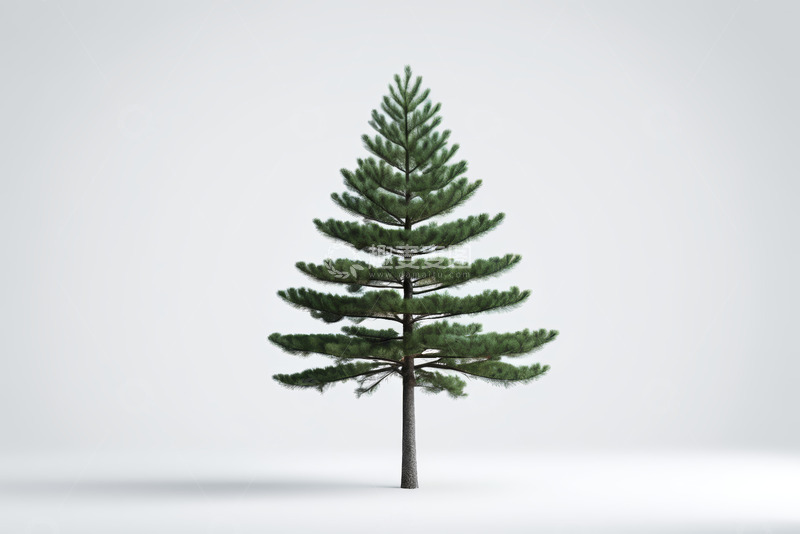 高清大图下载【趣麦麦图】单棵松树素材