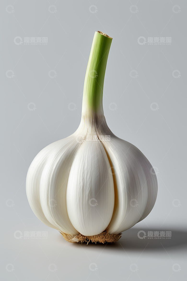 大蒜微距特写静物素材