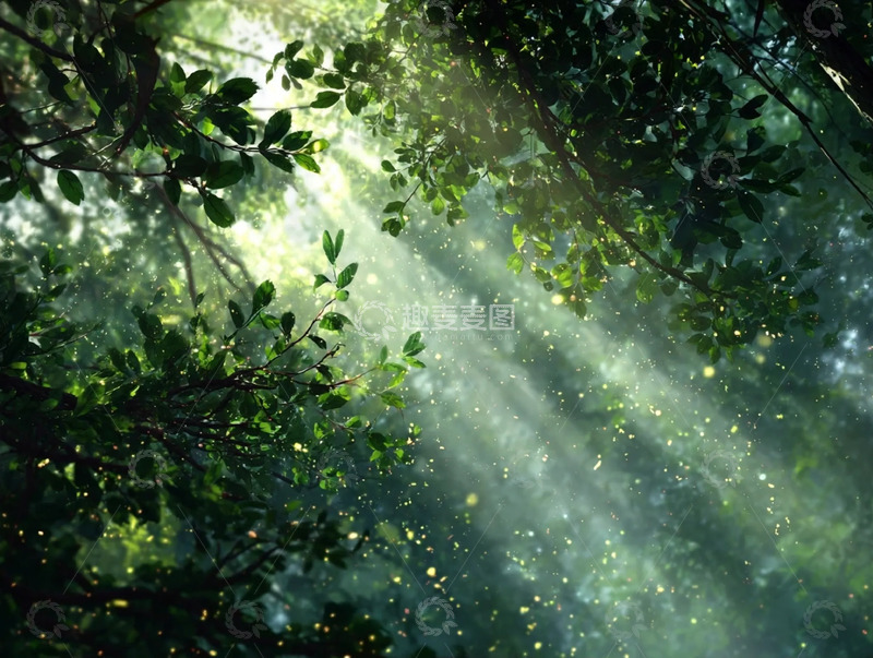 高清大图下载【趣麦麦图】林间晨曦里的丁达尔光效秘境