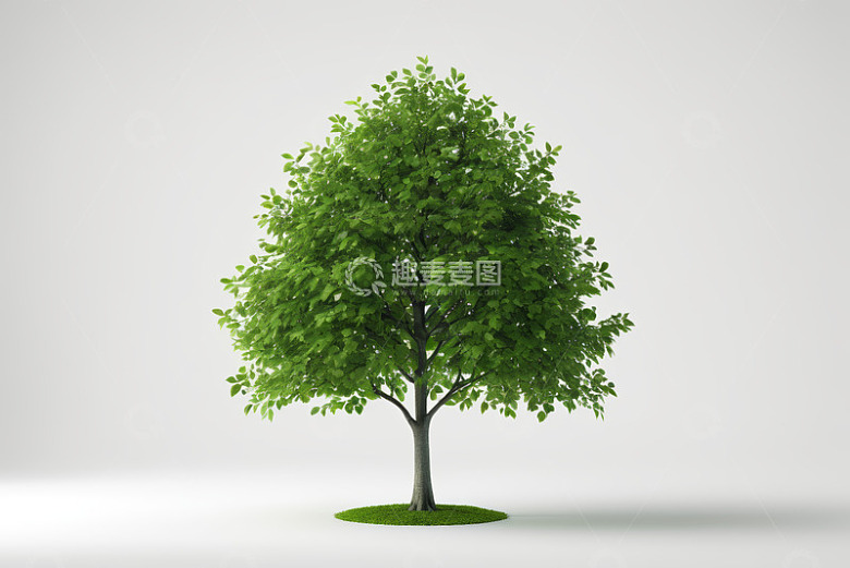 绿色树木3D模型展示