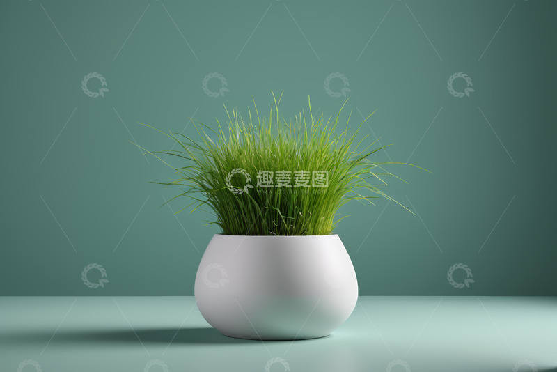 高清大图下载【趣麦麦图】白色花盆中生长的绿色小草