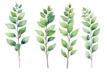 水彩风格绿色植物枝叶素材