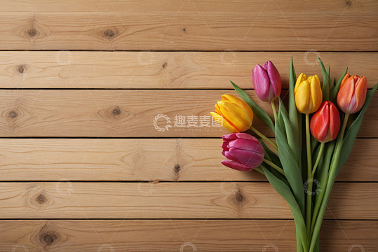 木质背景上的多彩郁金香花束