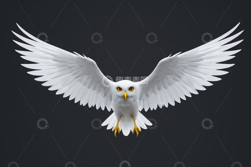 高清大图下载【趣麦麦图】展翅飞翔的白色鹰