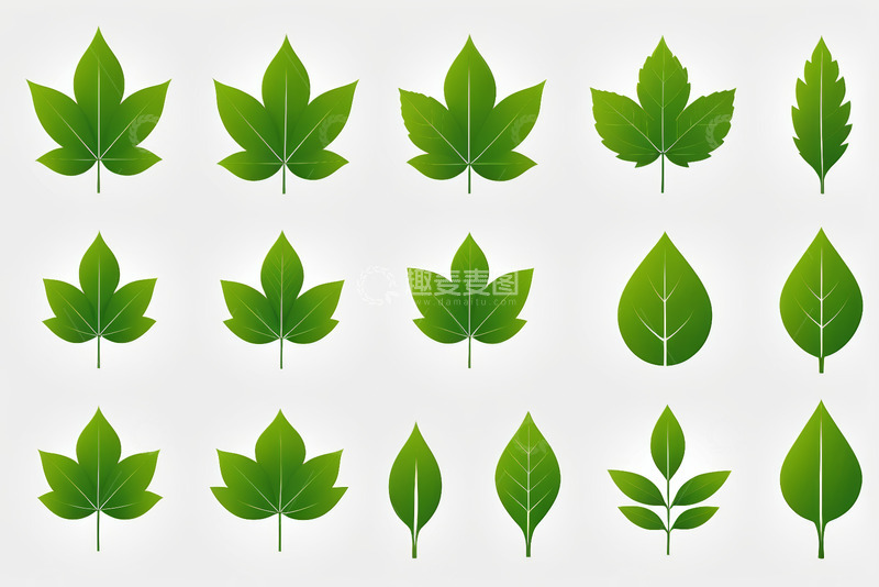 高清大图下载【趣麦麦图】多种绿色叶片矢量素材