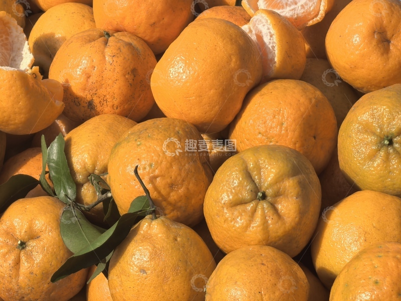 高清大图下载【趣麦麦图】丰收橘子堆叠特写摄影图