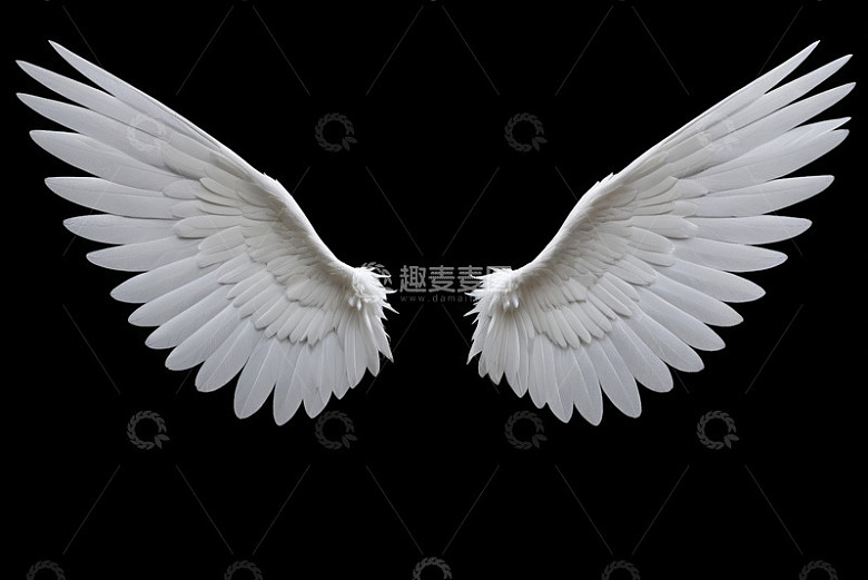 白色羽翼特写