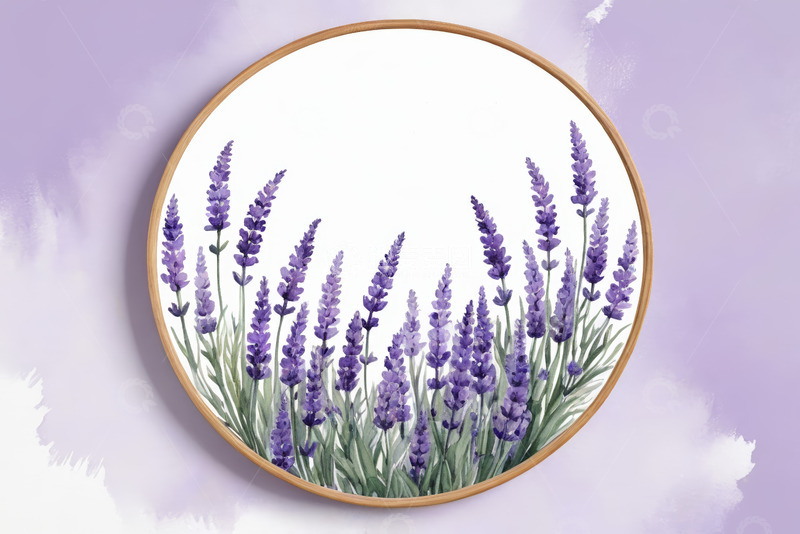 高清大图下载【趣麦麦图】圆形画框中的紫色薰衣草