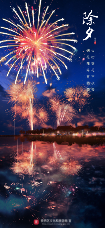 烟花盛宴除夕夜