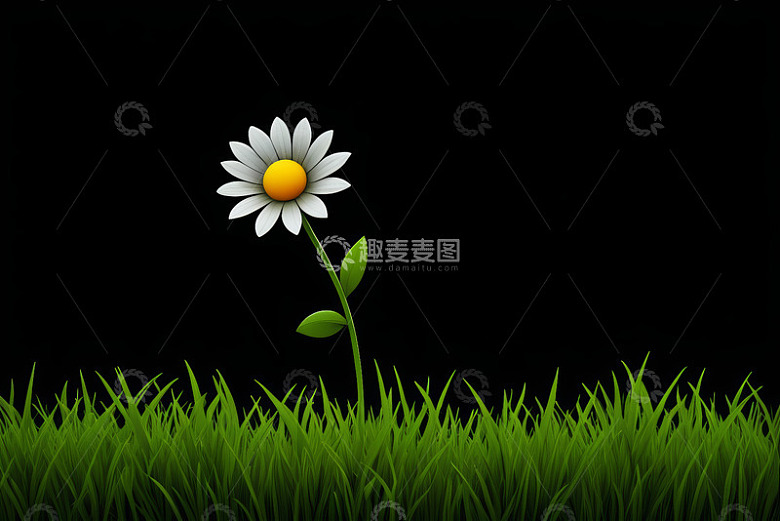 黑色背景上的雏菊与绿草