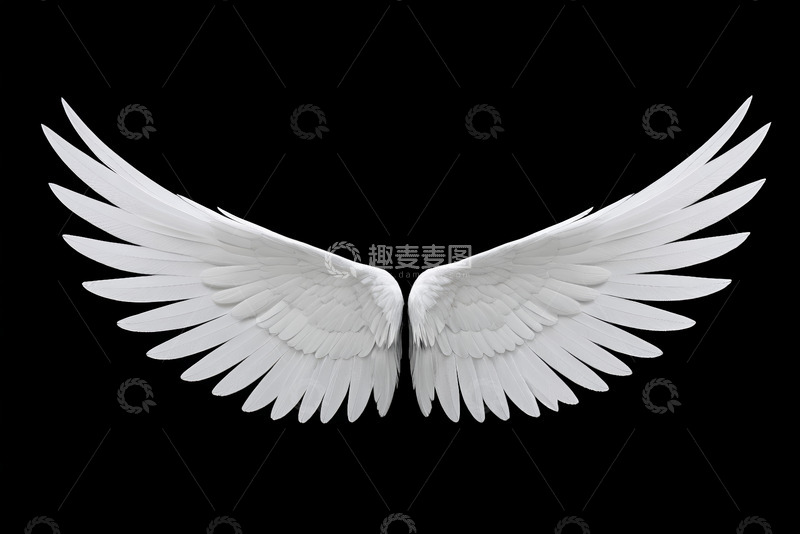 高清大图下载【趣麦麦图】白色天使翅膀设计素材