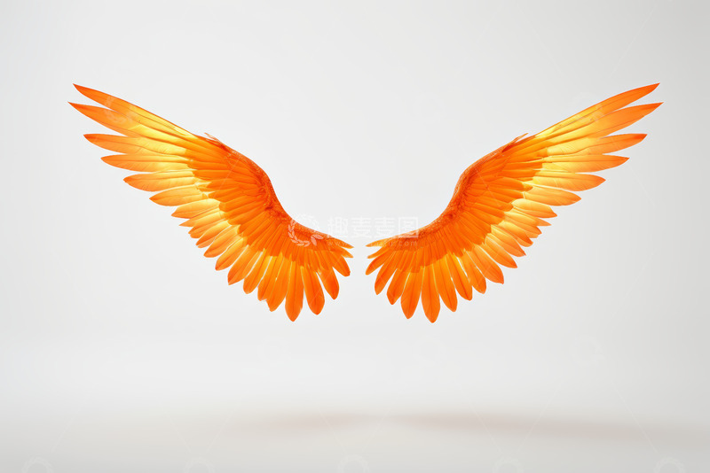 高清大图下载【趣麦麦图】橙色翅膀特写素材