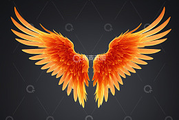 橙红色羽翼图案素材